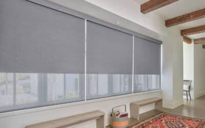 Dual Roller Shades Austin | Day-Night Light Control