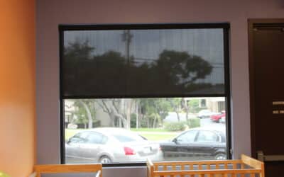 Commercial Window Shades for Your Business in Austin